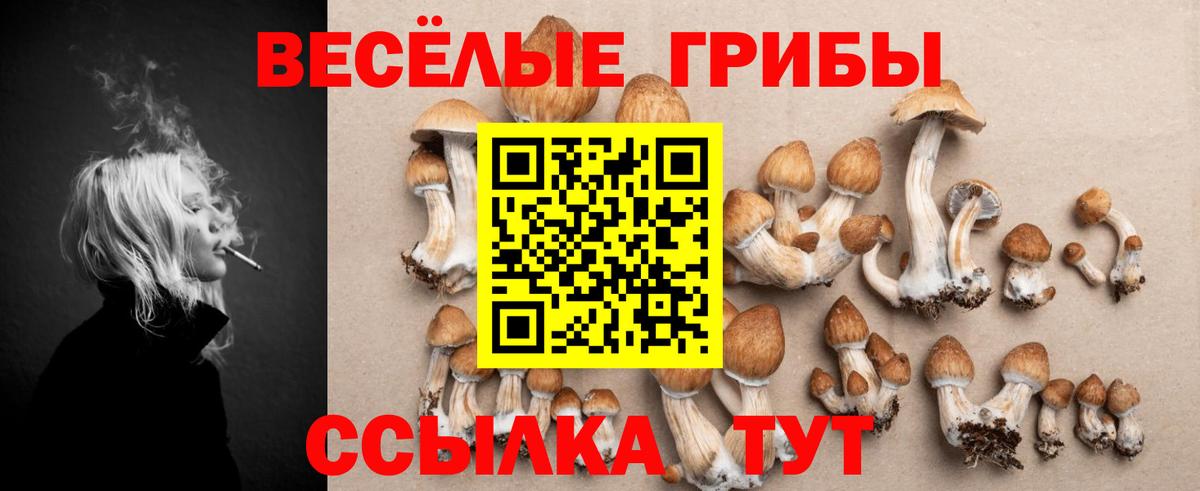 Ишим  Псилоцибиновые грибы мухоморы  Вход с VPN 